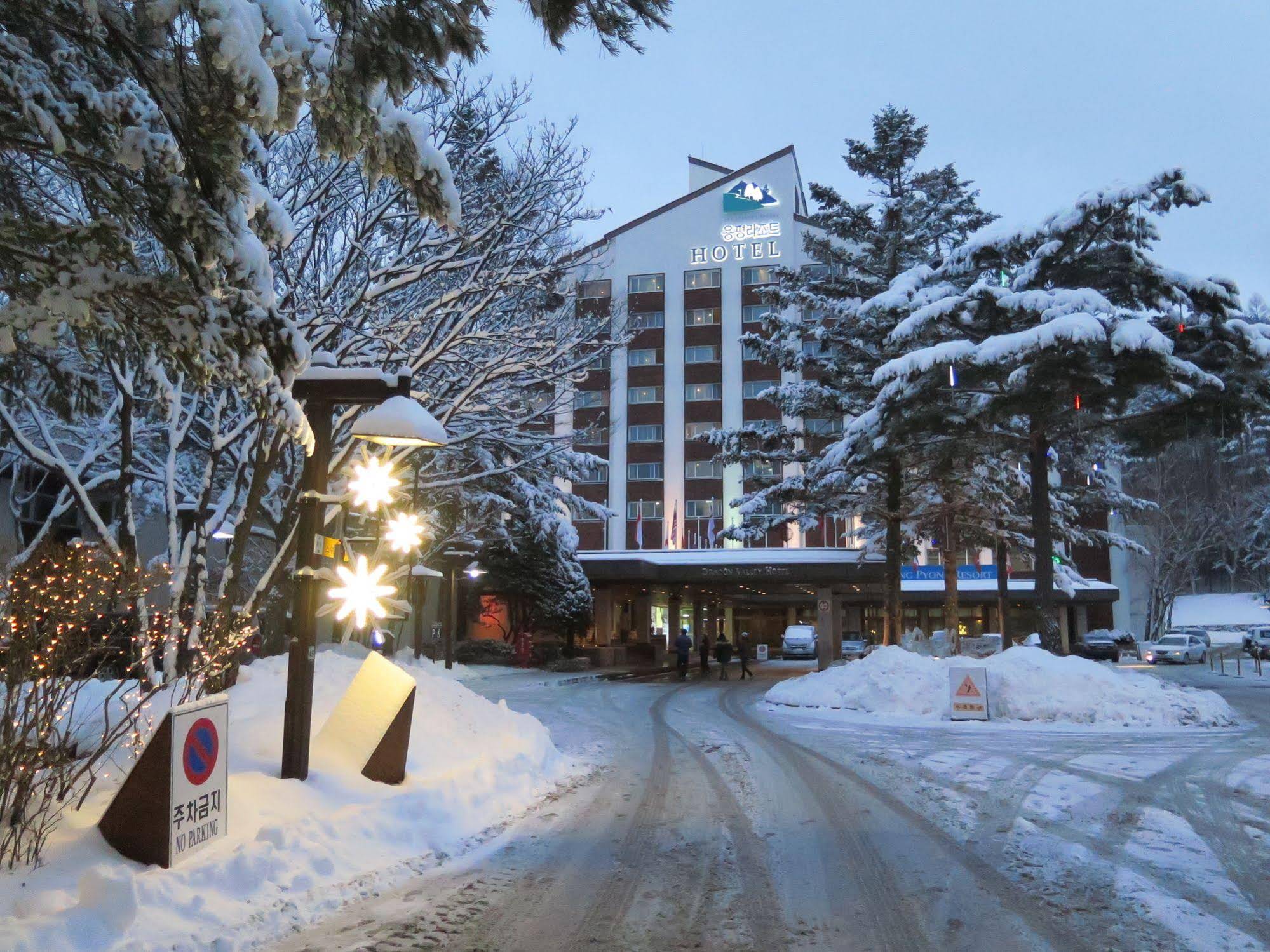 Yongpyong Dragon Valley Hotel