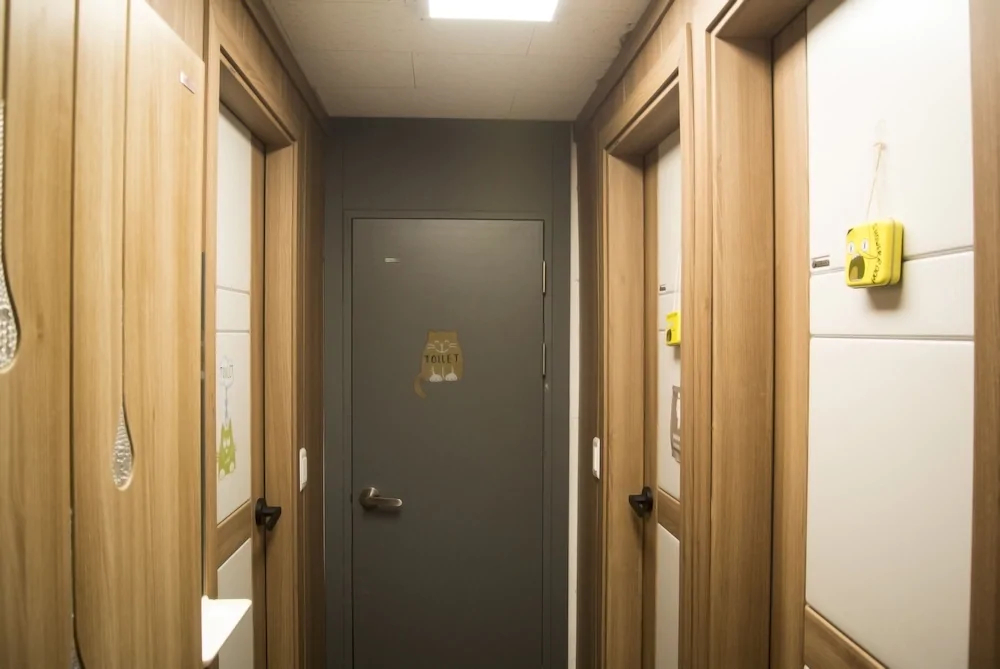 Hause Itaewon Hostel
