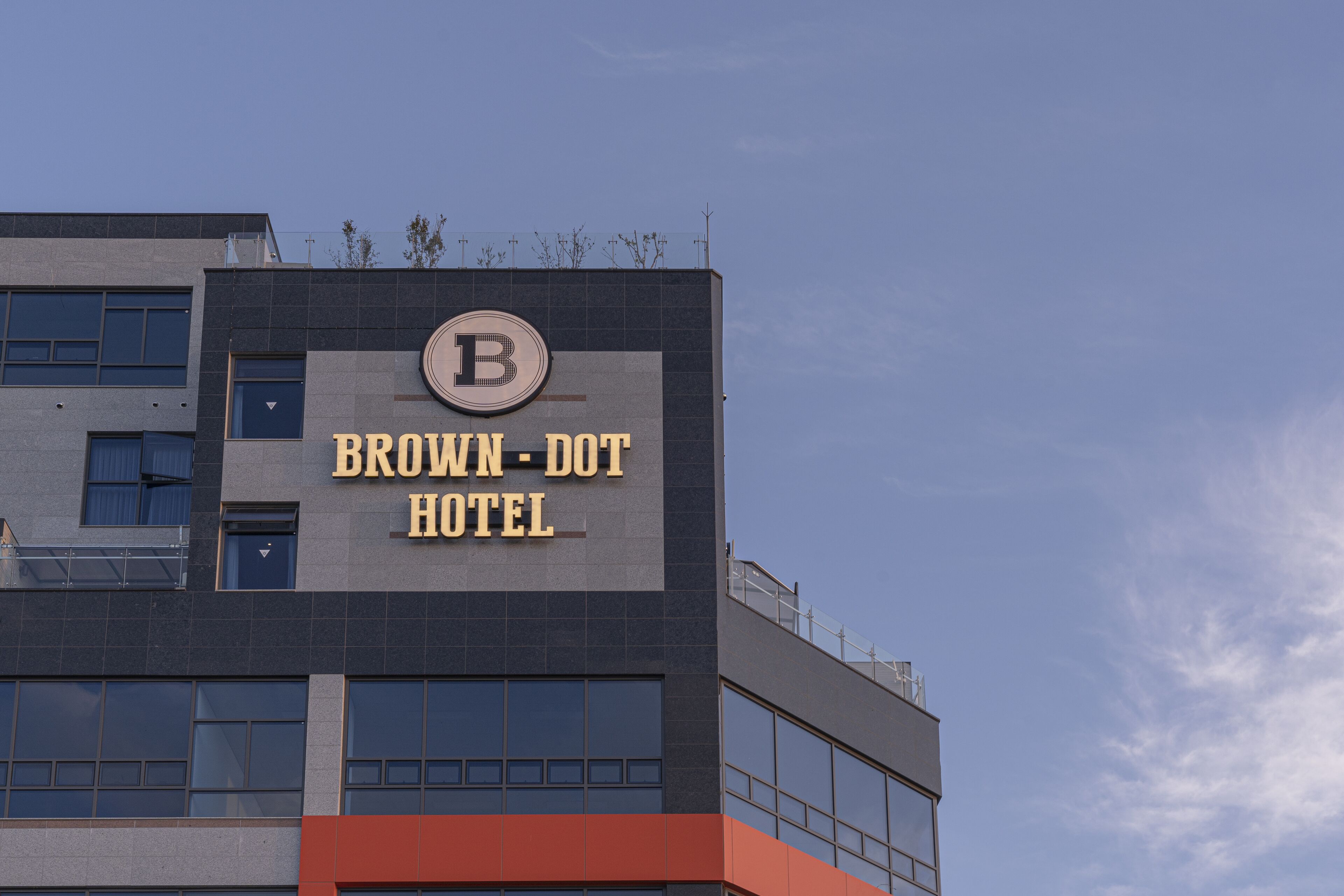 Brown Dot Siheung Geobuksum