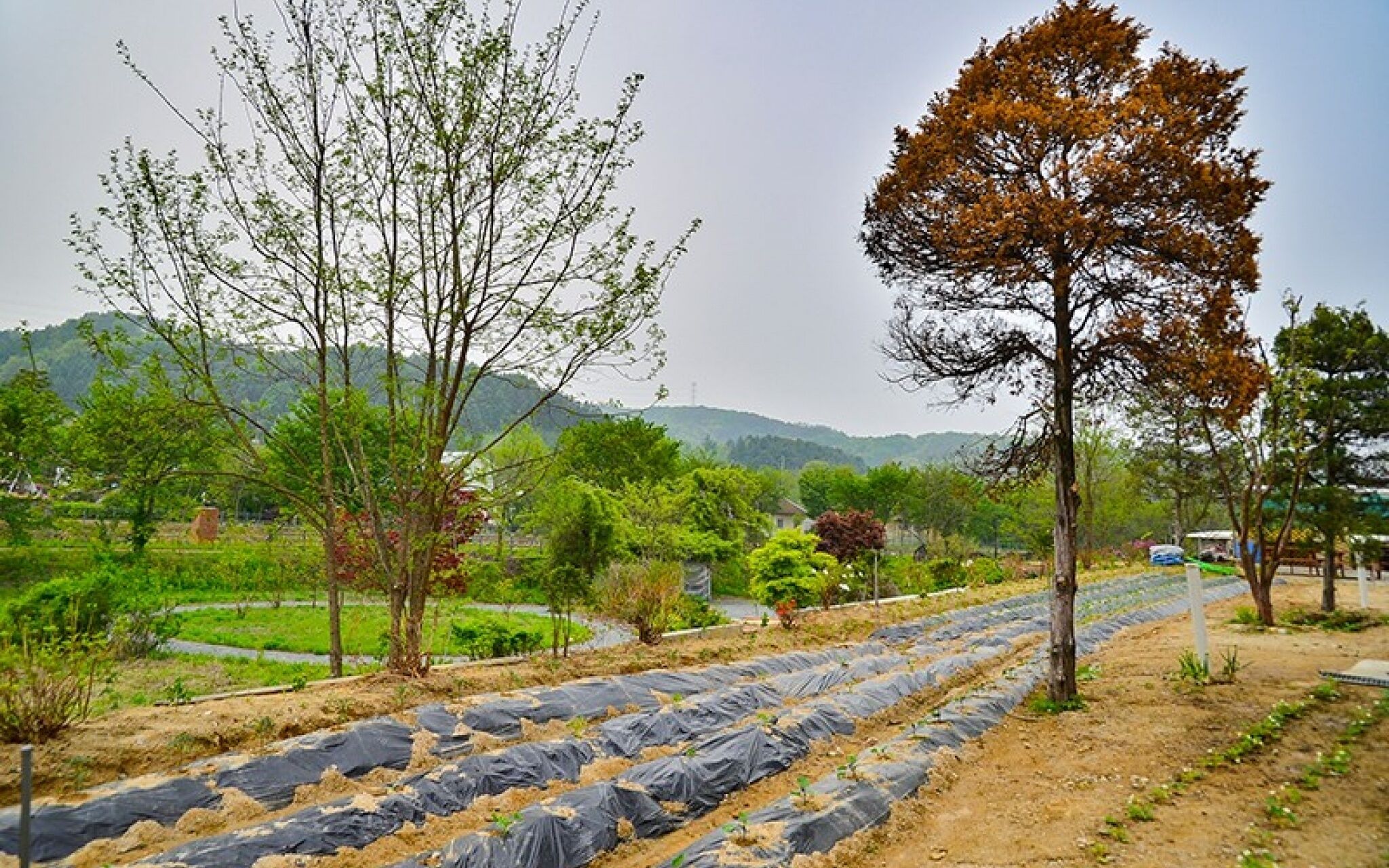 Yongin Unhak Pension