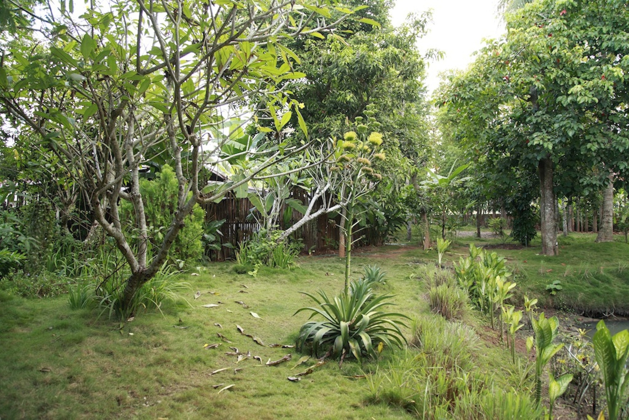 Vangsavath Hotel