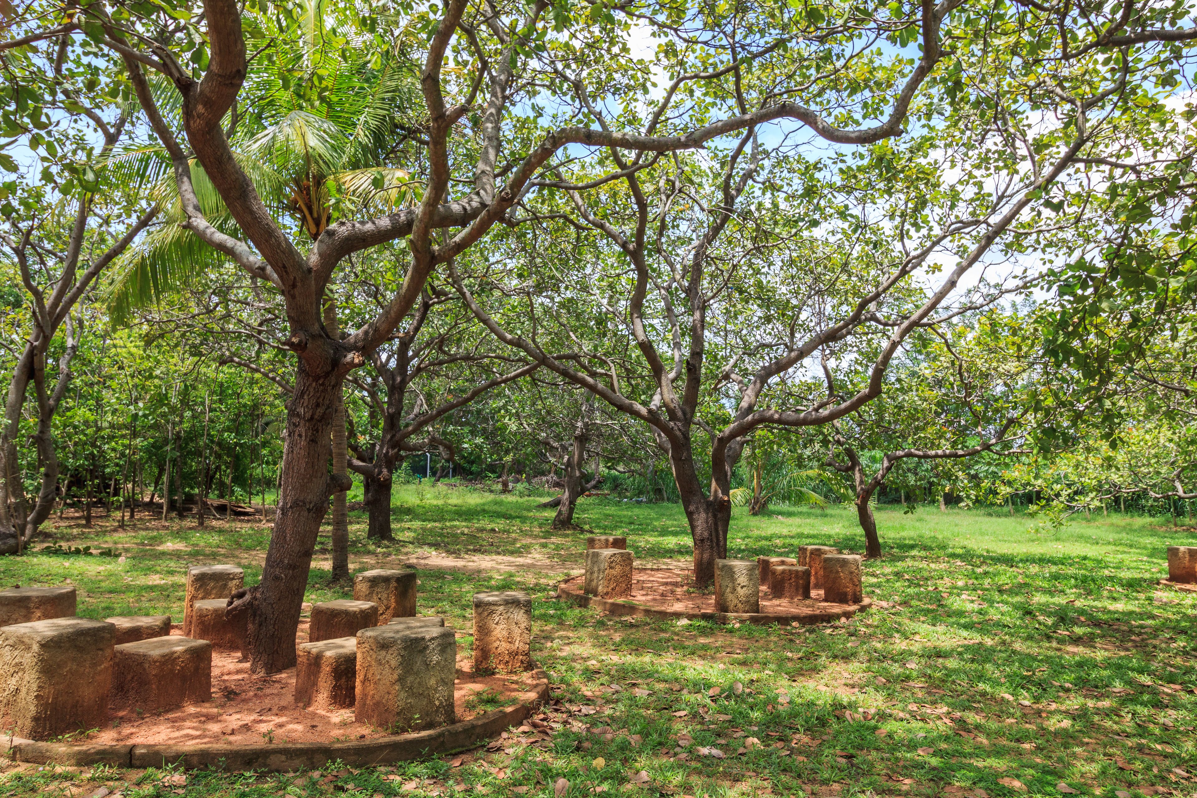 Sigiriana Resort by Thilanka