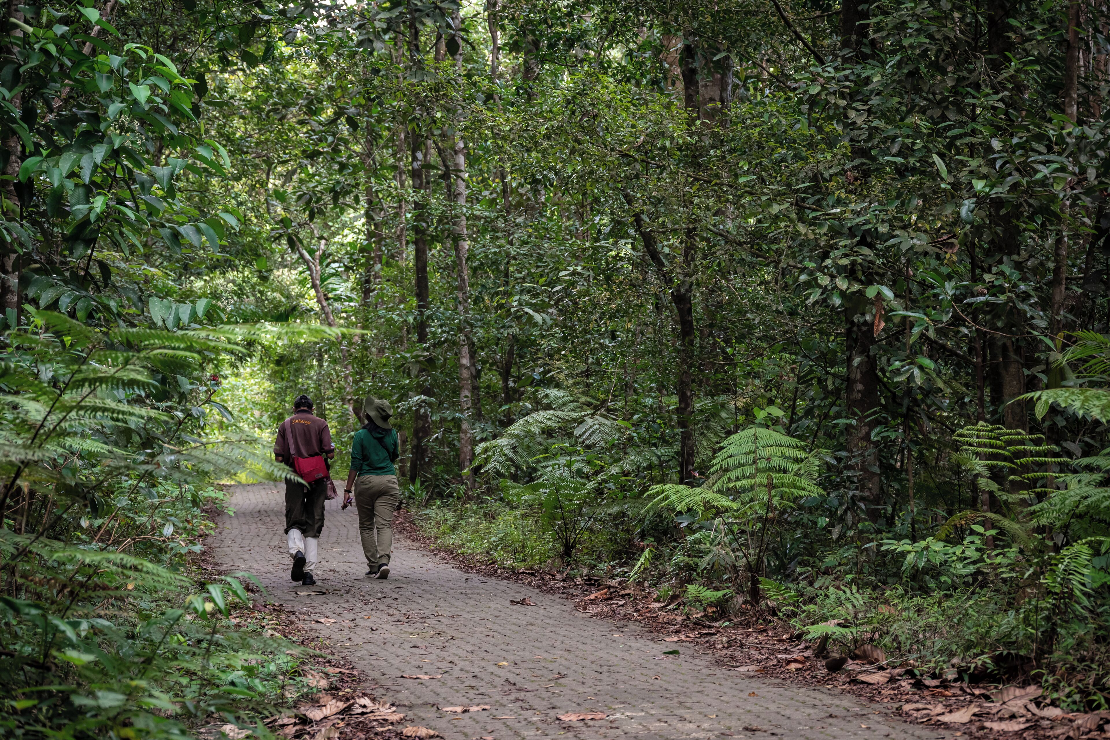 Royal Palms Beach Hotel