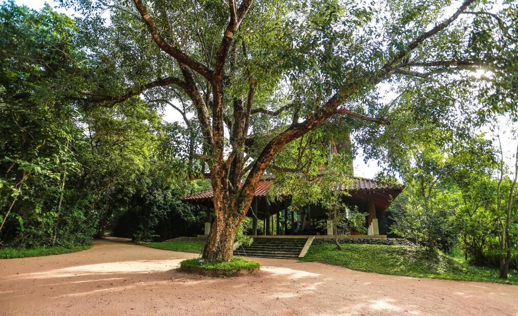 Wild Grass Nature Resort