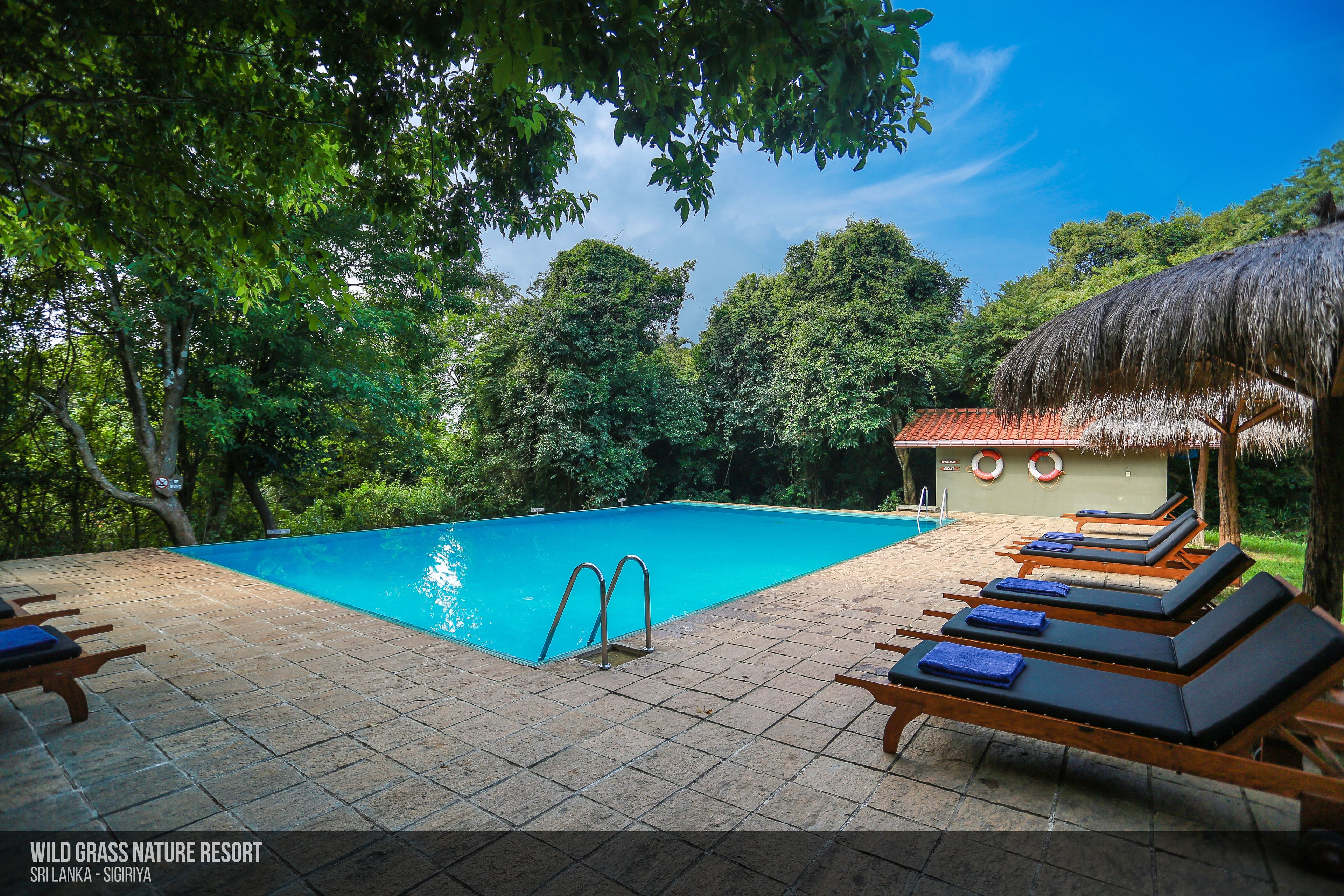 Wild Grass Nature Resort