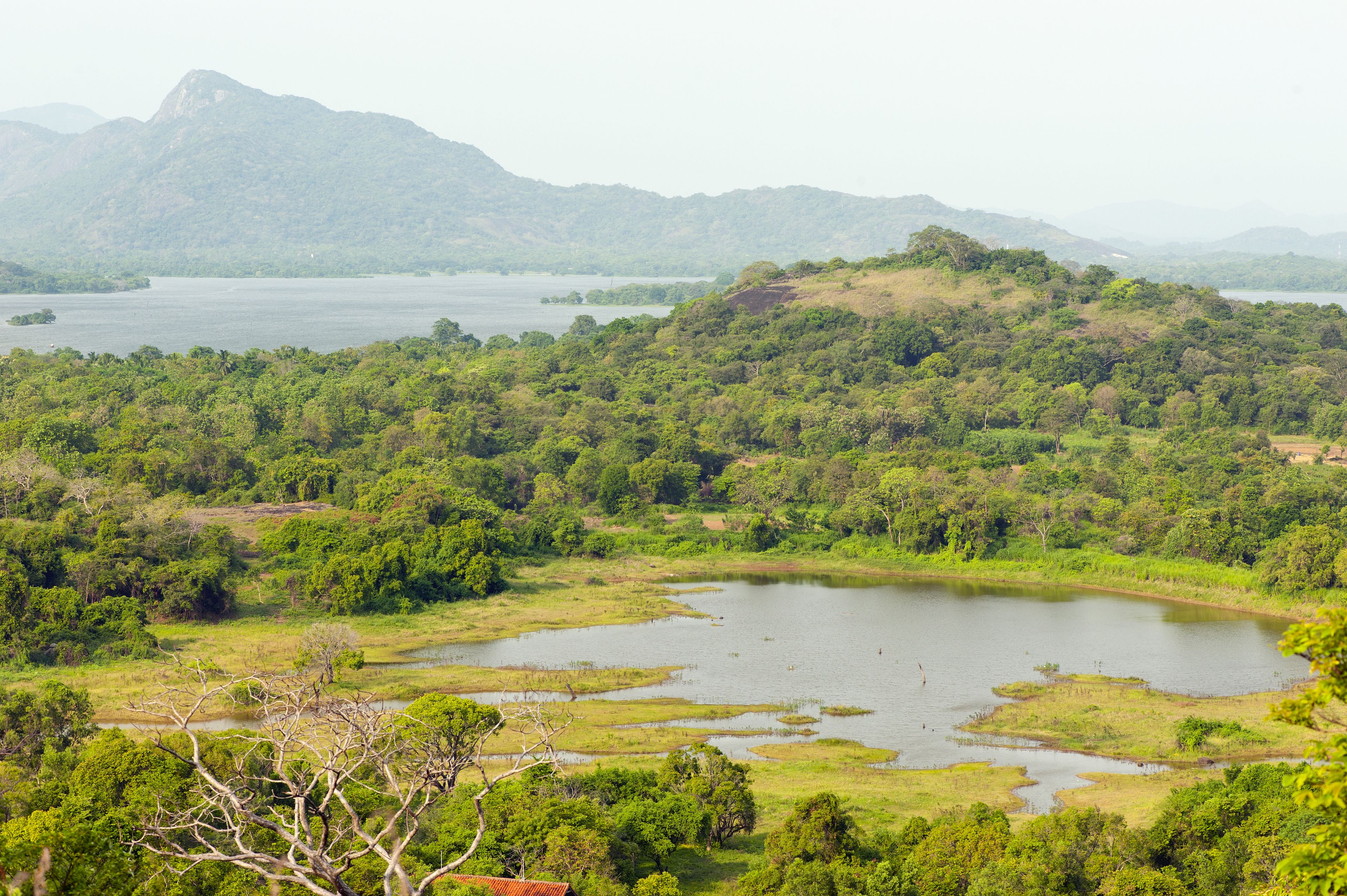 Wild Grass Nature Resort