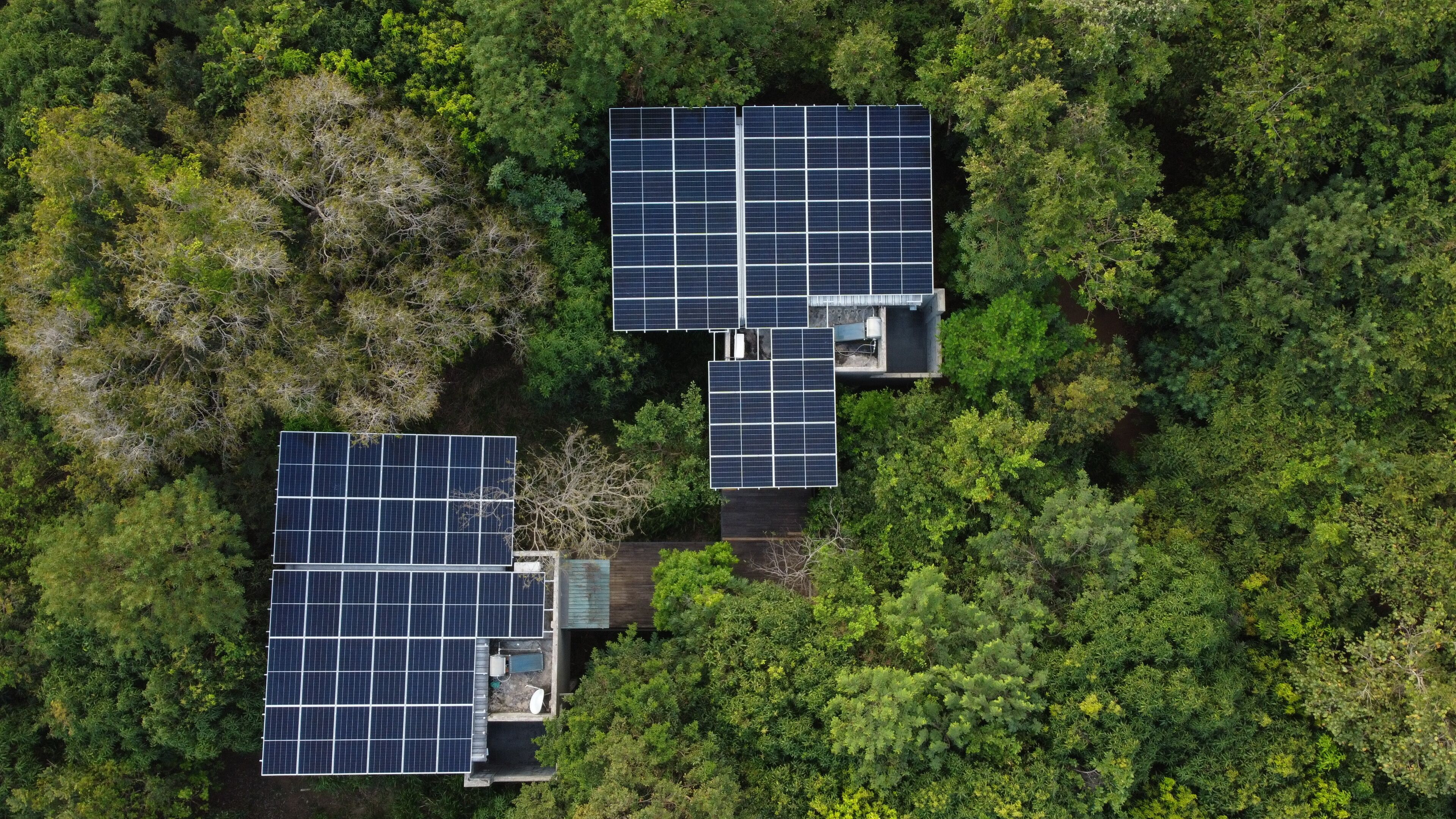 Wild Grass Nature Resort