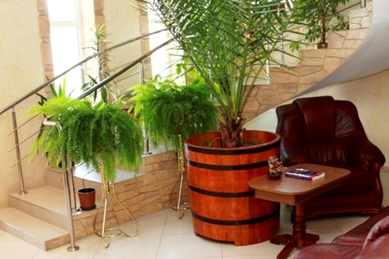 Edem Hotel