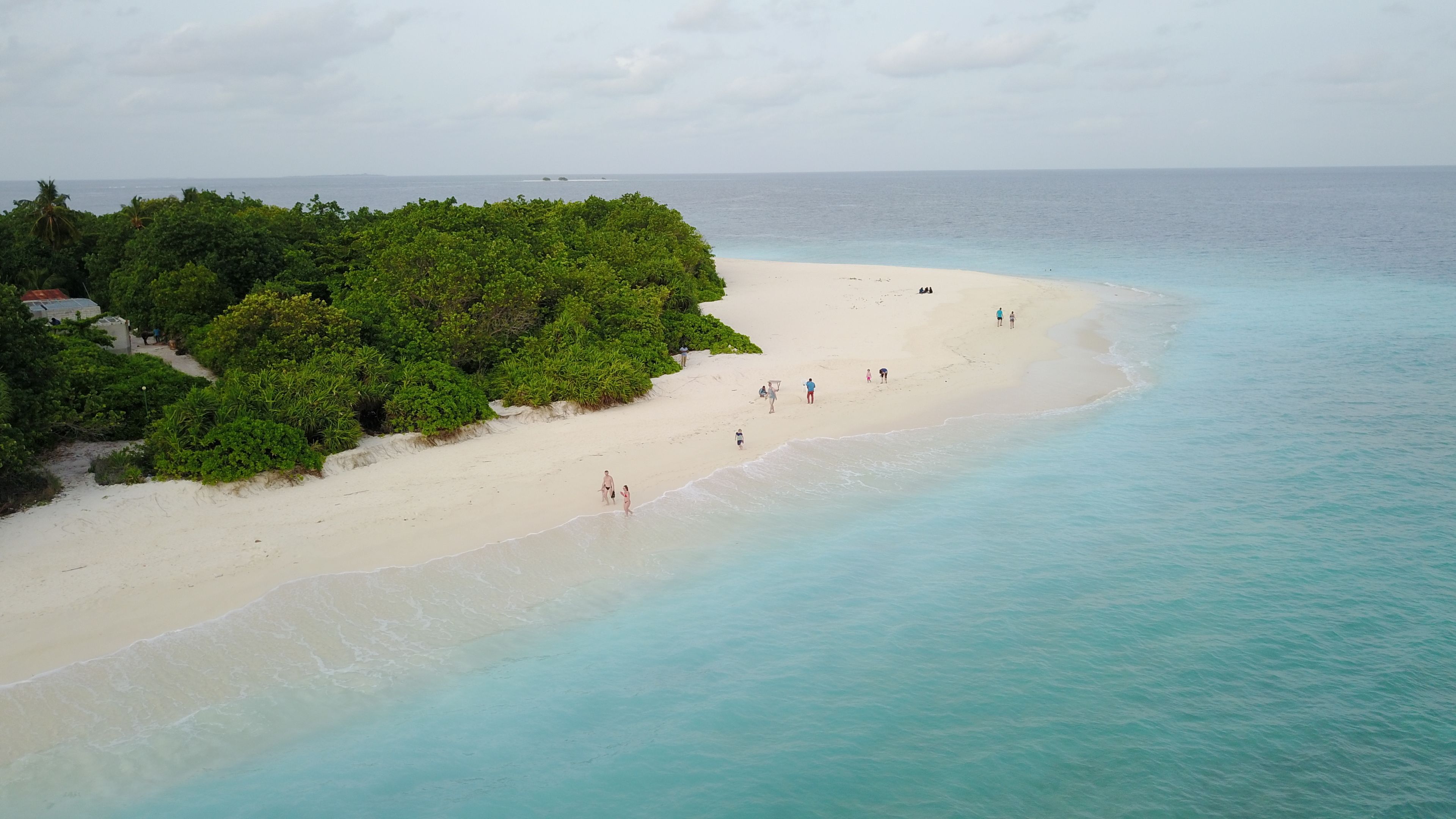 Beach Veli