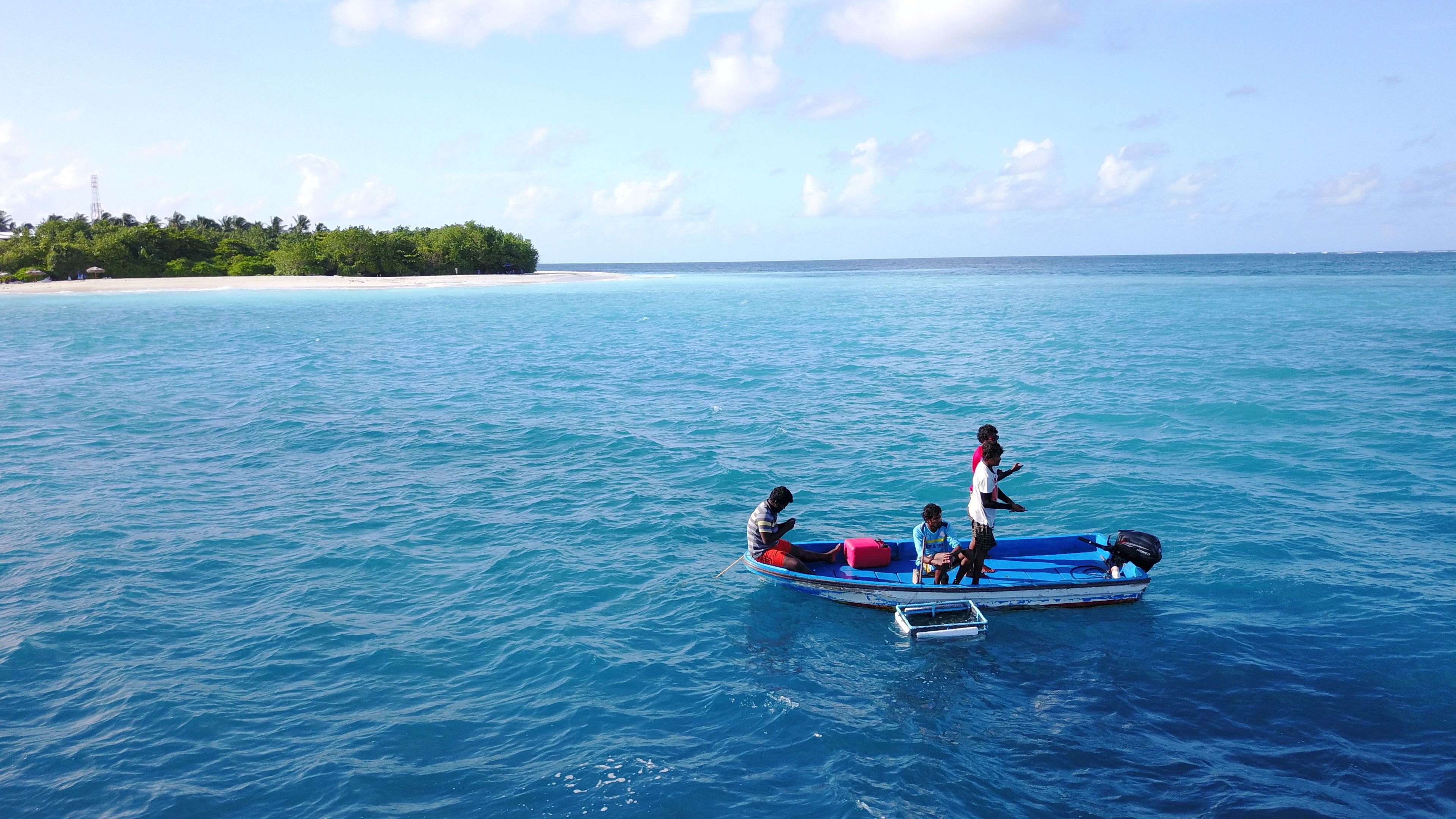 Beach Veli