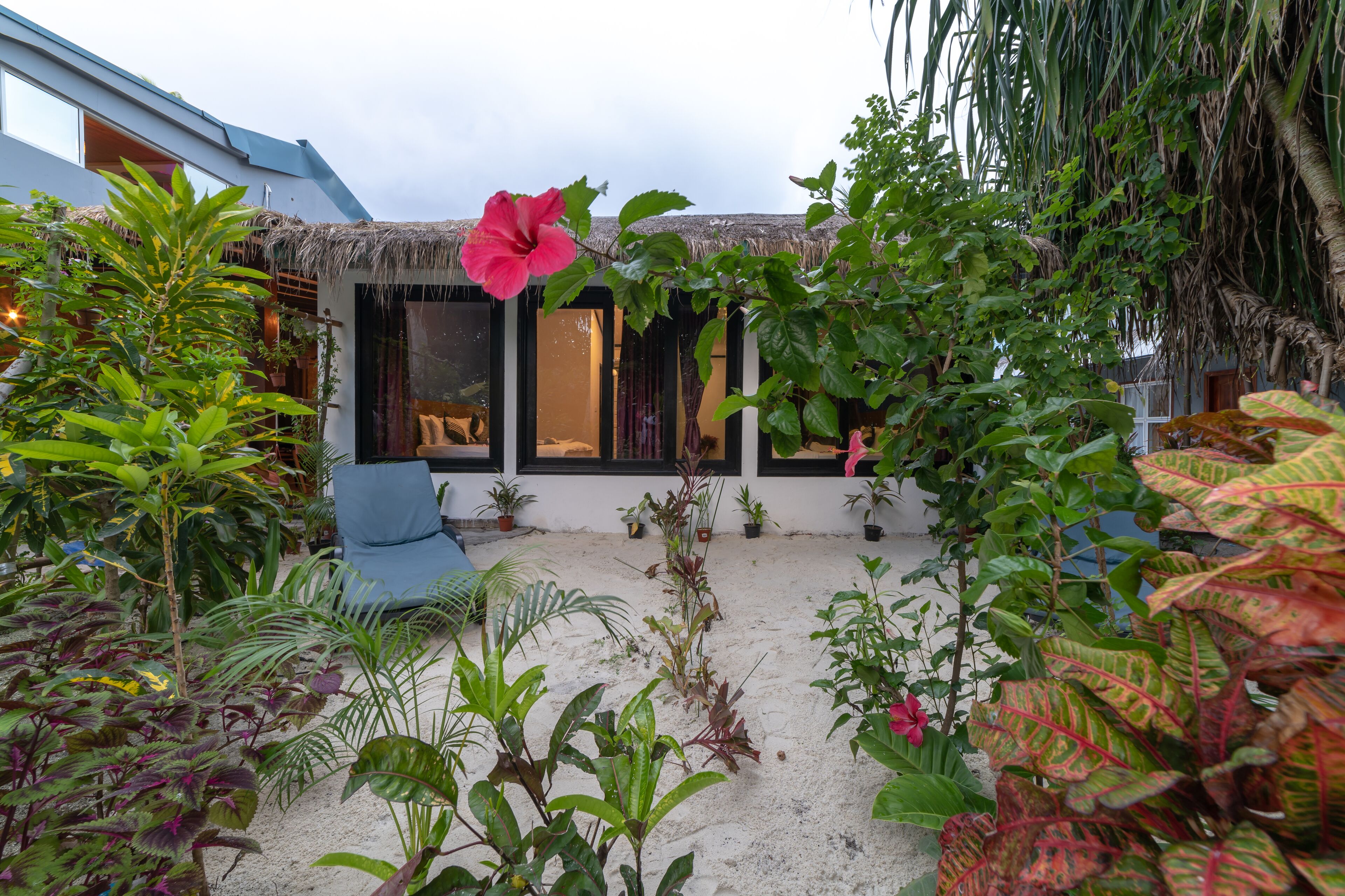 Beach Veli