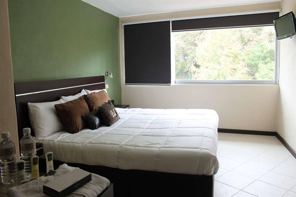 Mision Express los Lagos