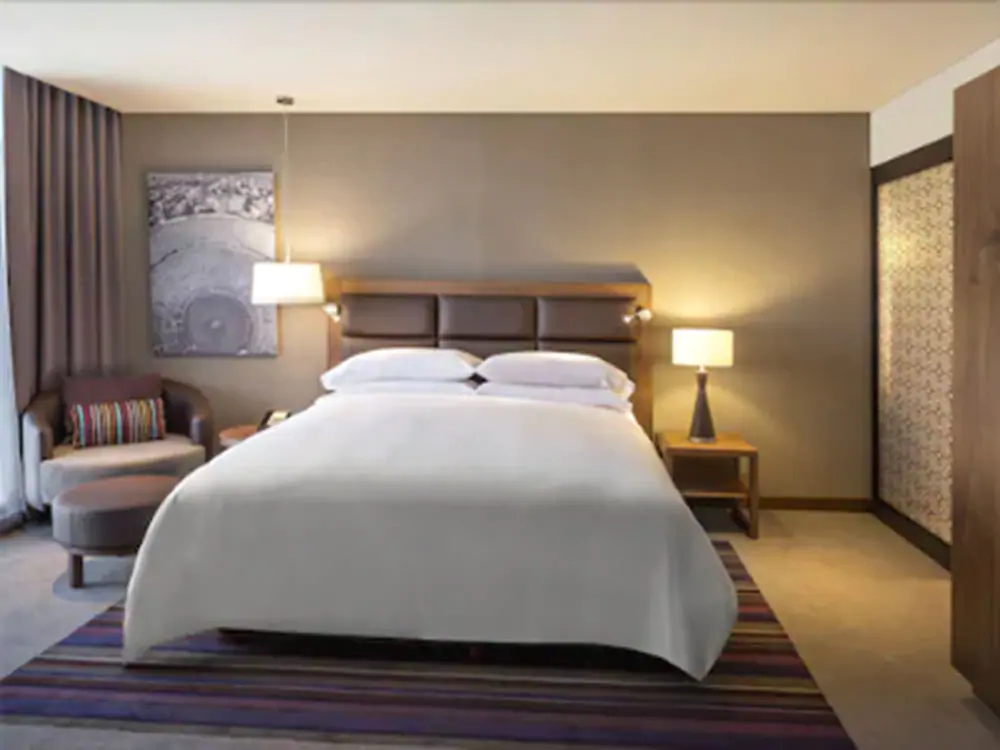 Fiesta Americana San Luis Potosí