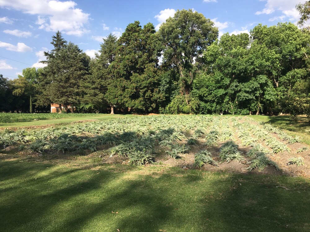 Rancho Las Joyas Tepeji Del Rio