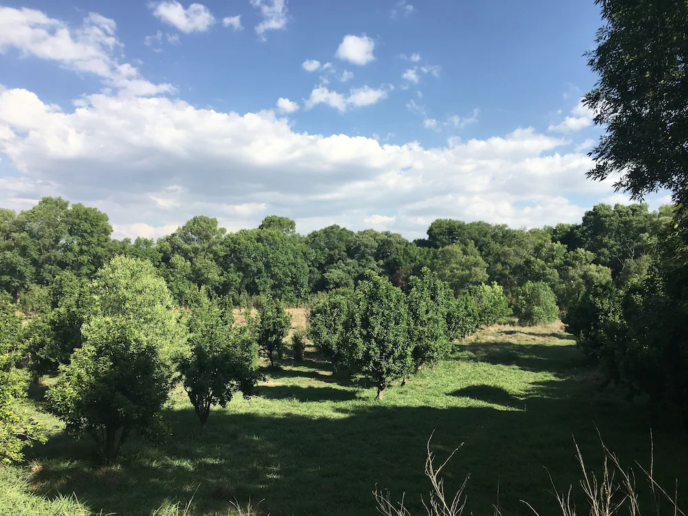 Rancho Las Joyas Tepeji Del Rio