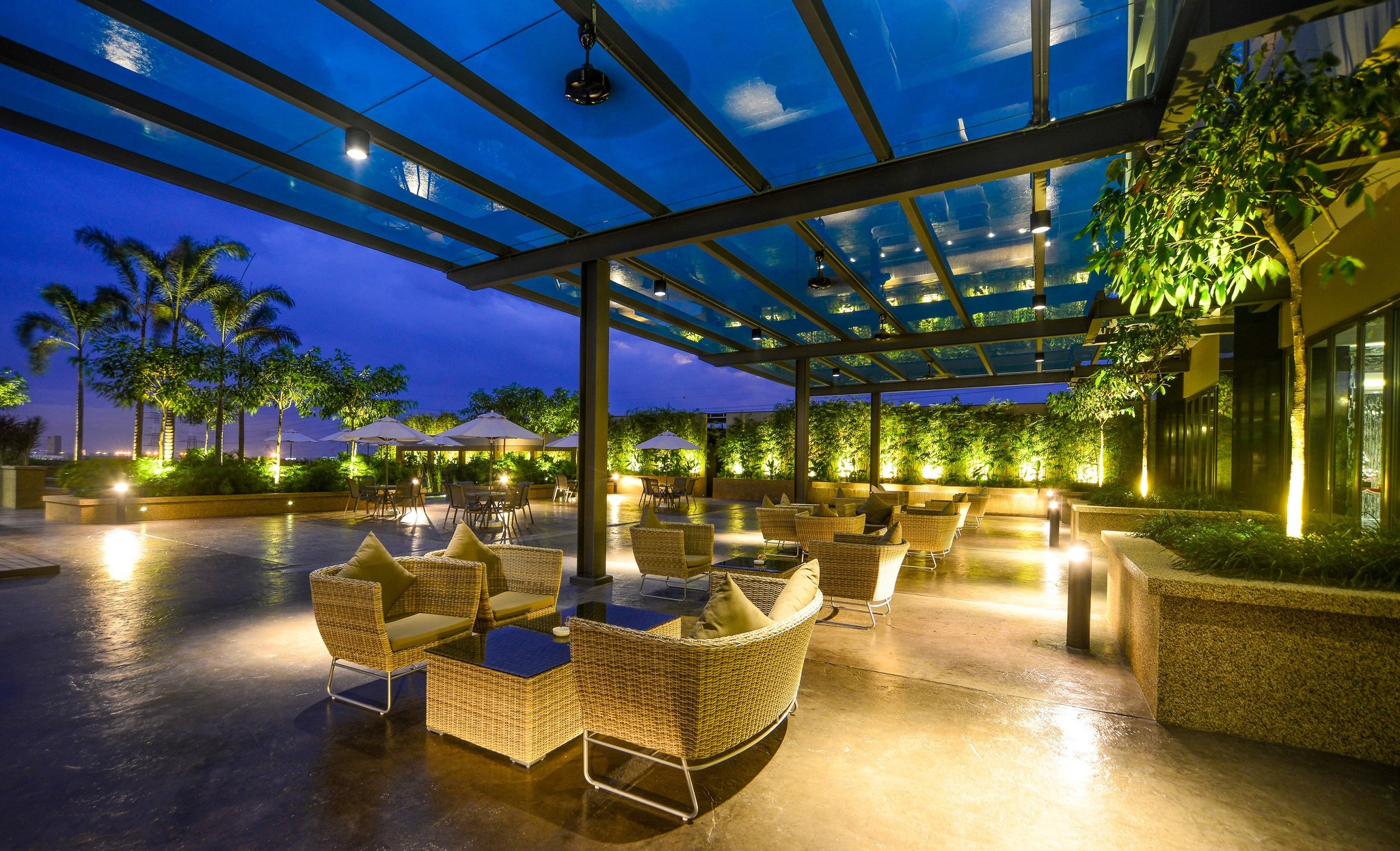 The Light Hotel