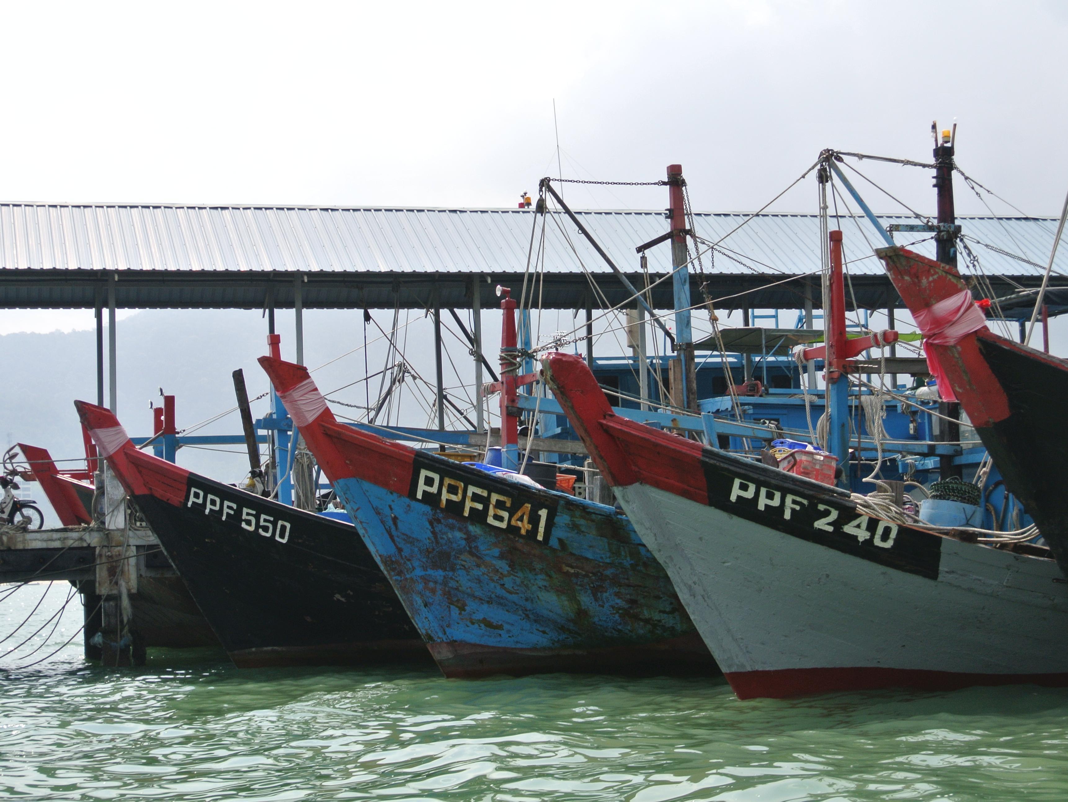 Hotel & Chalet Sportfishing PNK
