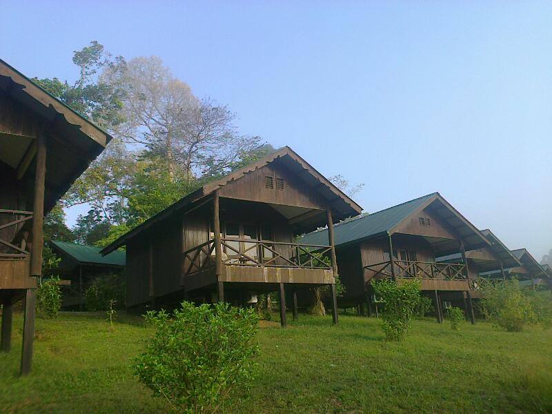 Sukau Proboscis Lodge Bukit Melapi