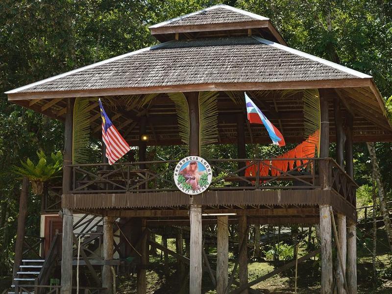 Sukau Proboscis Lodge Bukit Melapi