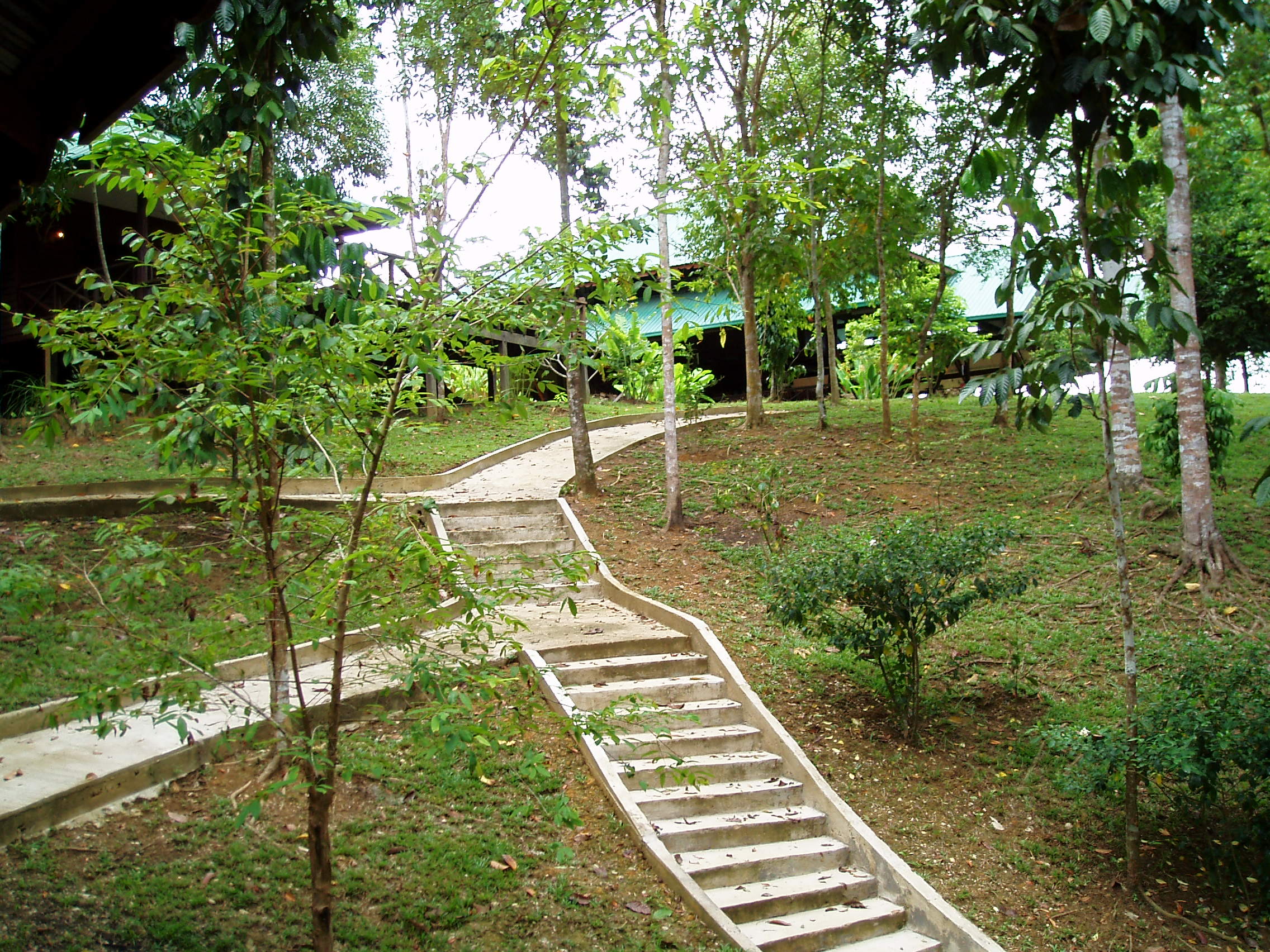 Sukau Proboscis Lodge Bukit Melapi