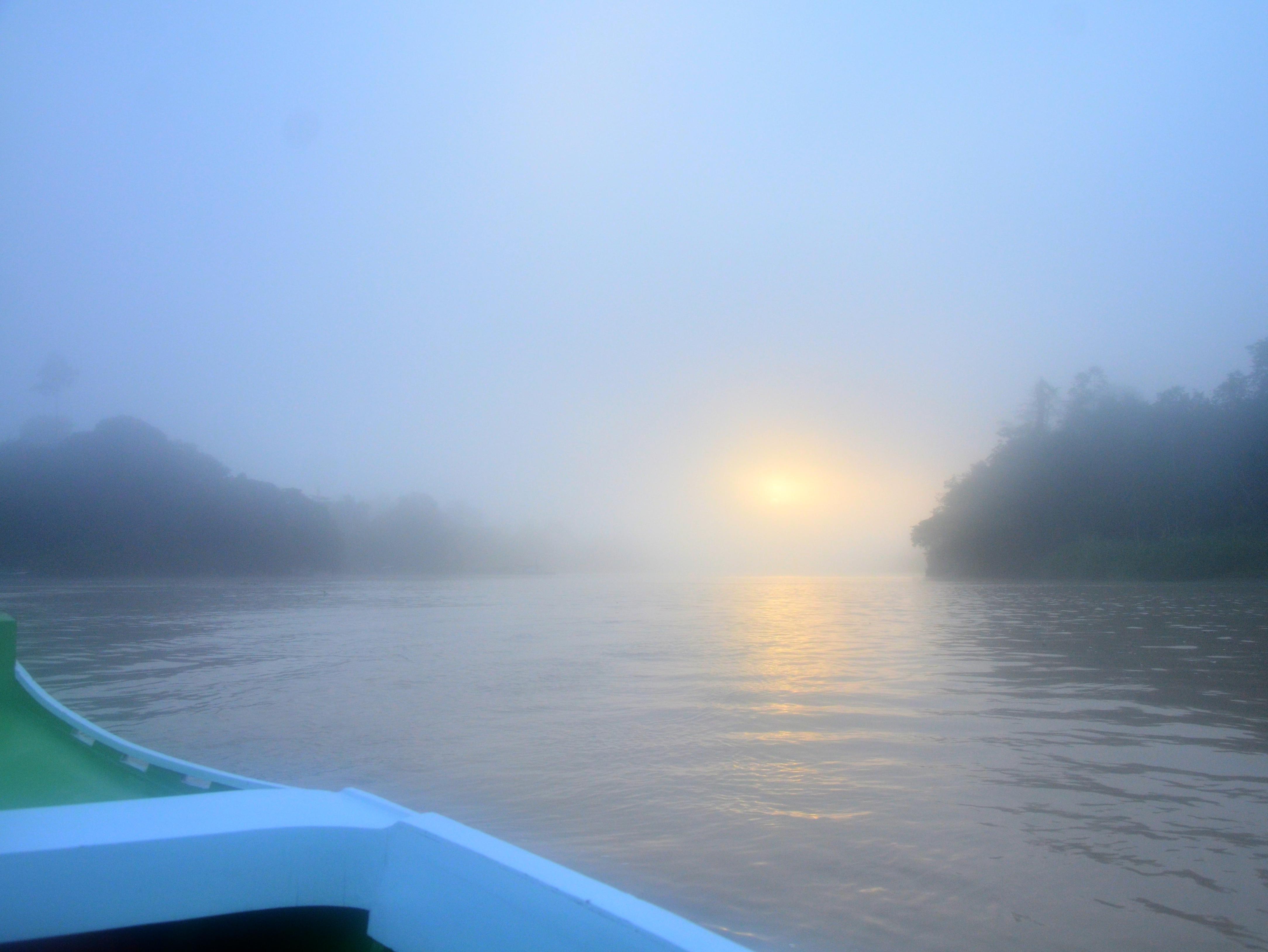 Sukau Proboscis Lodge Bukit Melapi