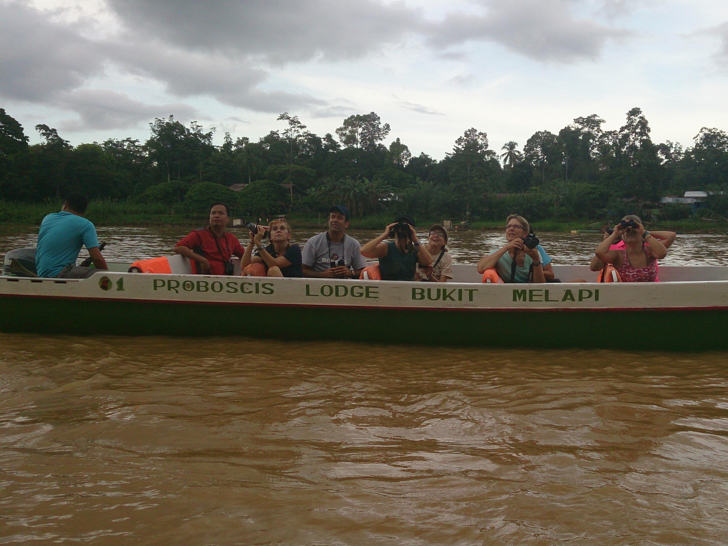 Sukau Proboscis Lodge Bukit Melapi
