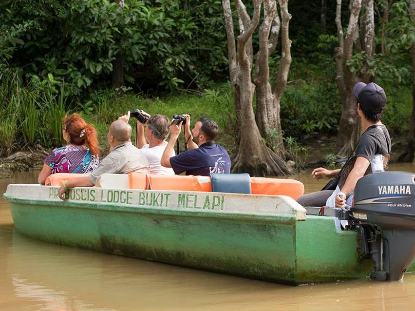 Sukau Proboscis Lodge Bukit Melapi