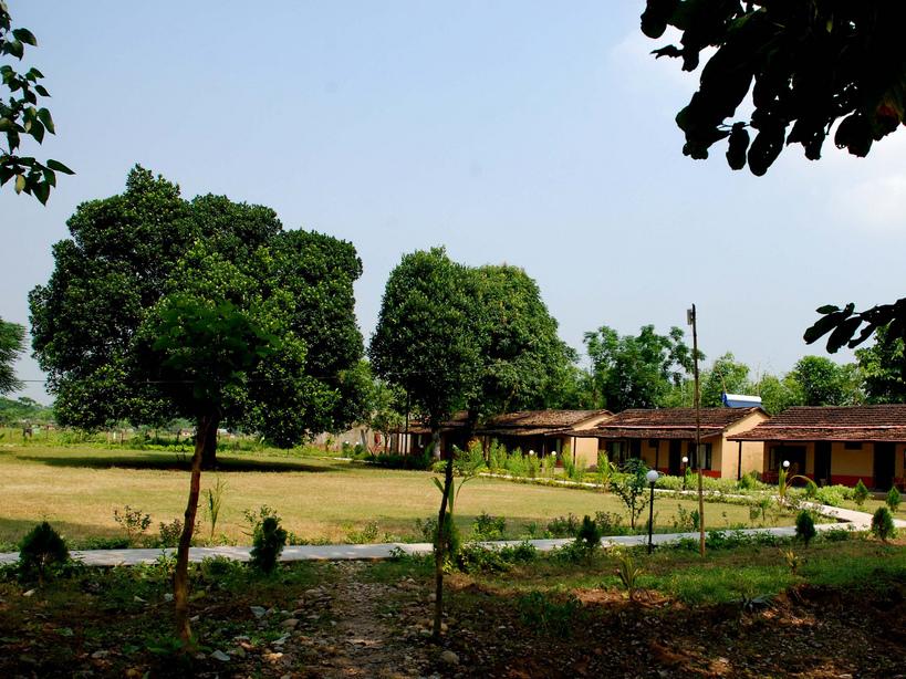 Kingfisher Jungle Resort