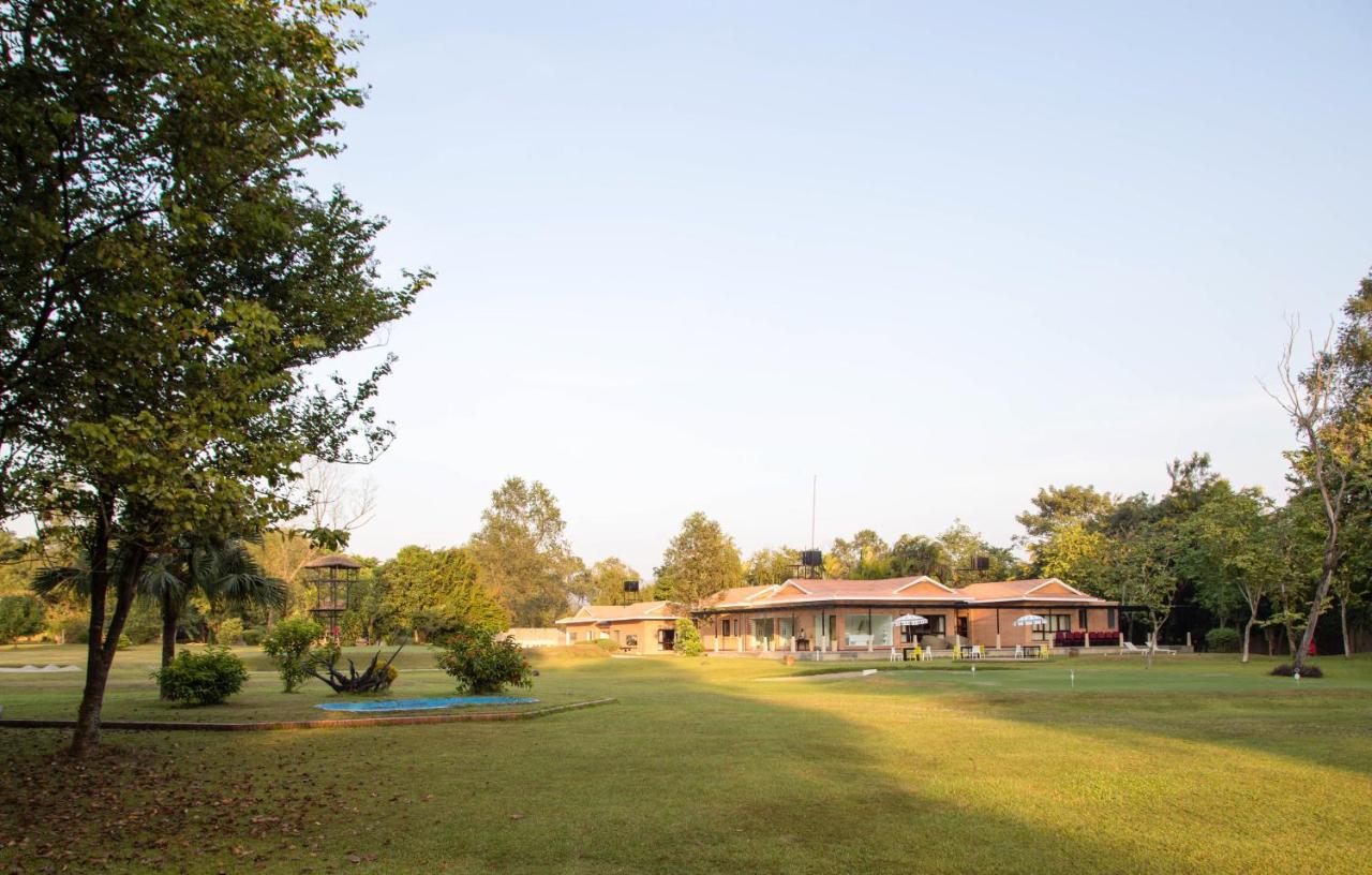 Miraaya Wellness