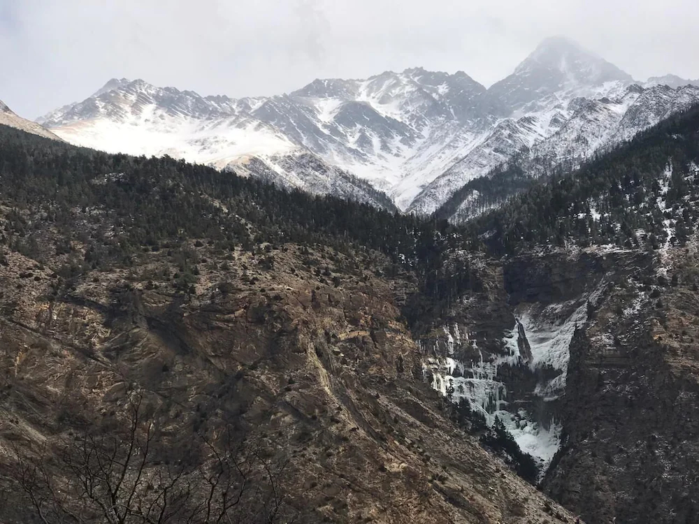 Moksha Mustang