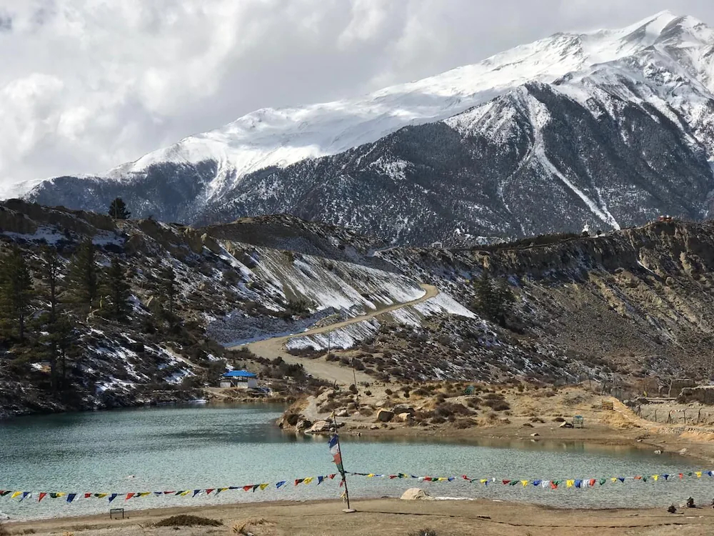 Moksha Mustang