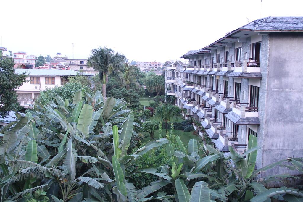 Barahi