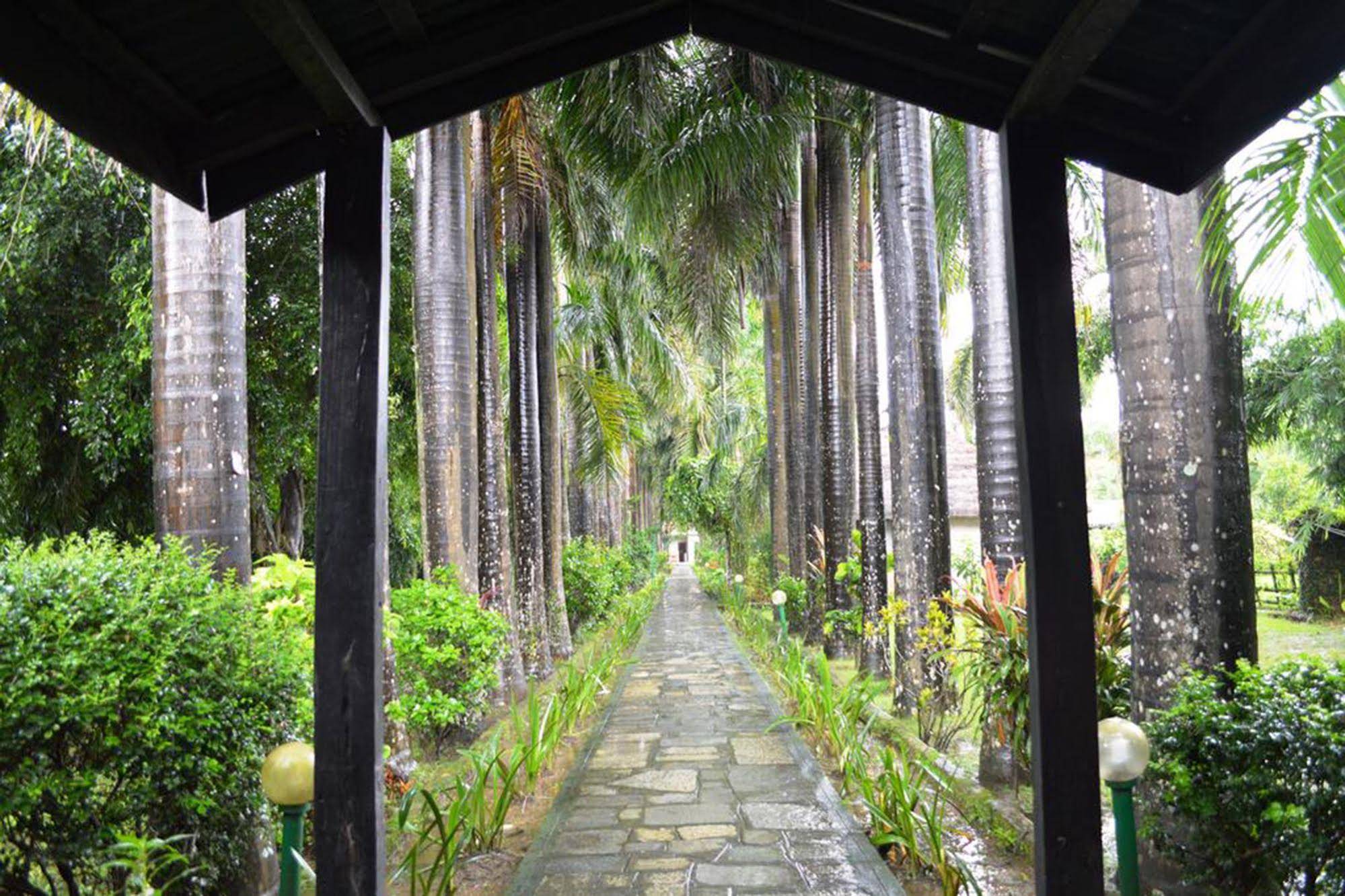 Chitwan Paradise Hotel