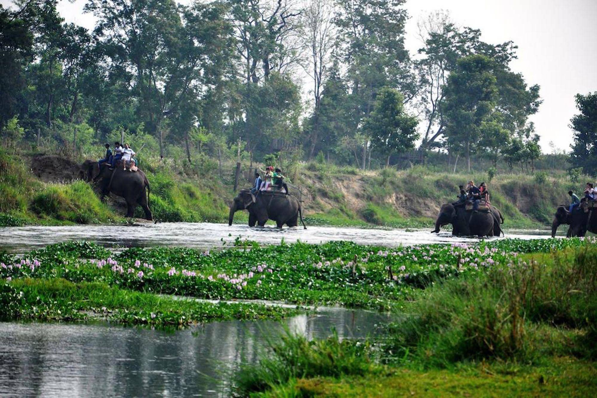 Chitwan Paradise Hotel