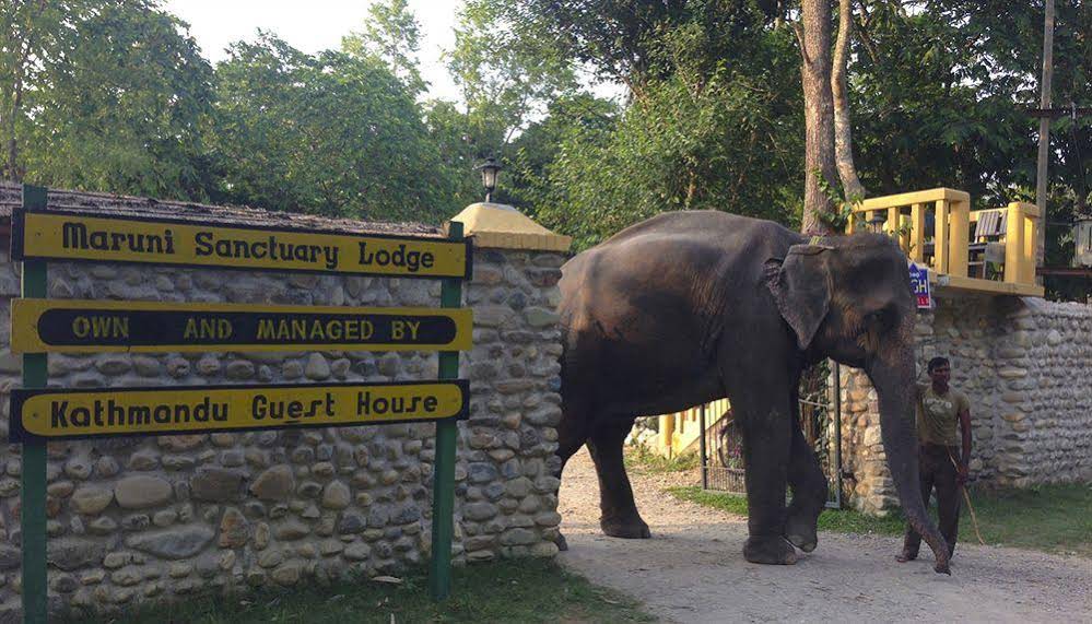 Maruni Sanctuary Lodge
