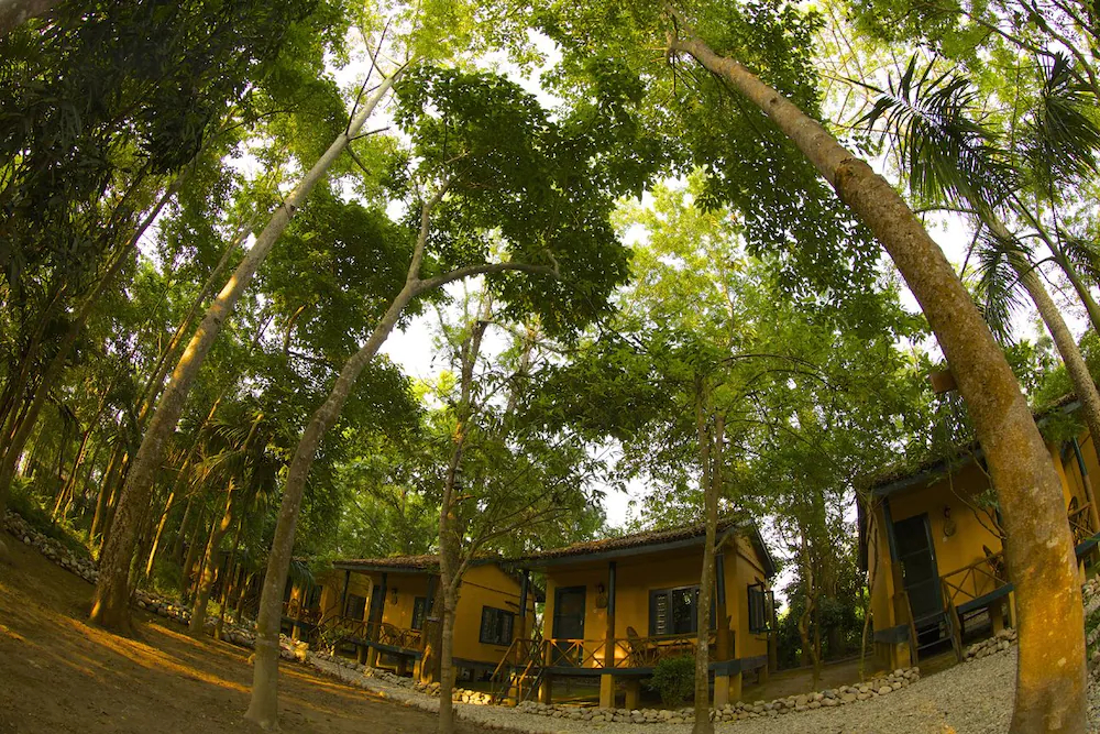 Maruni Sanctuary Lodge