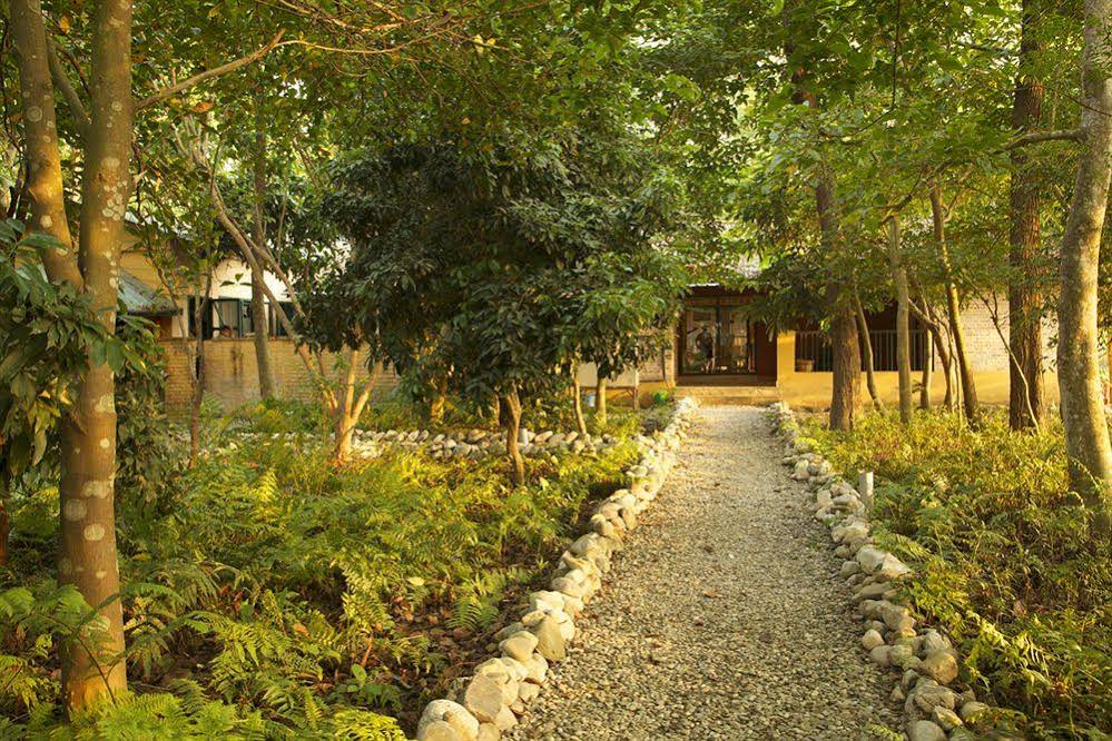 Maruni Sanctuary Lodge