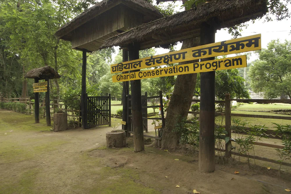 Maruni Sanctuary Lodge