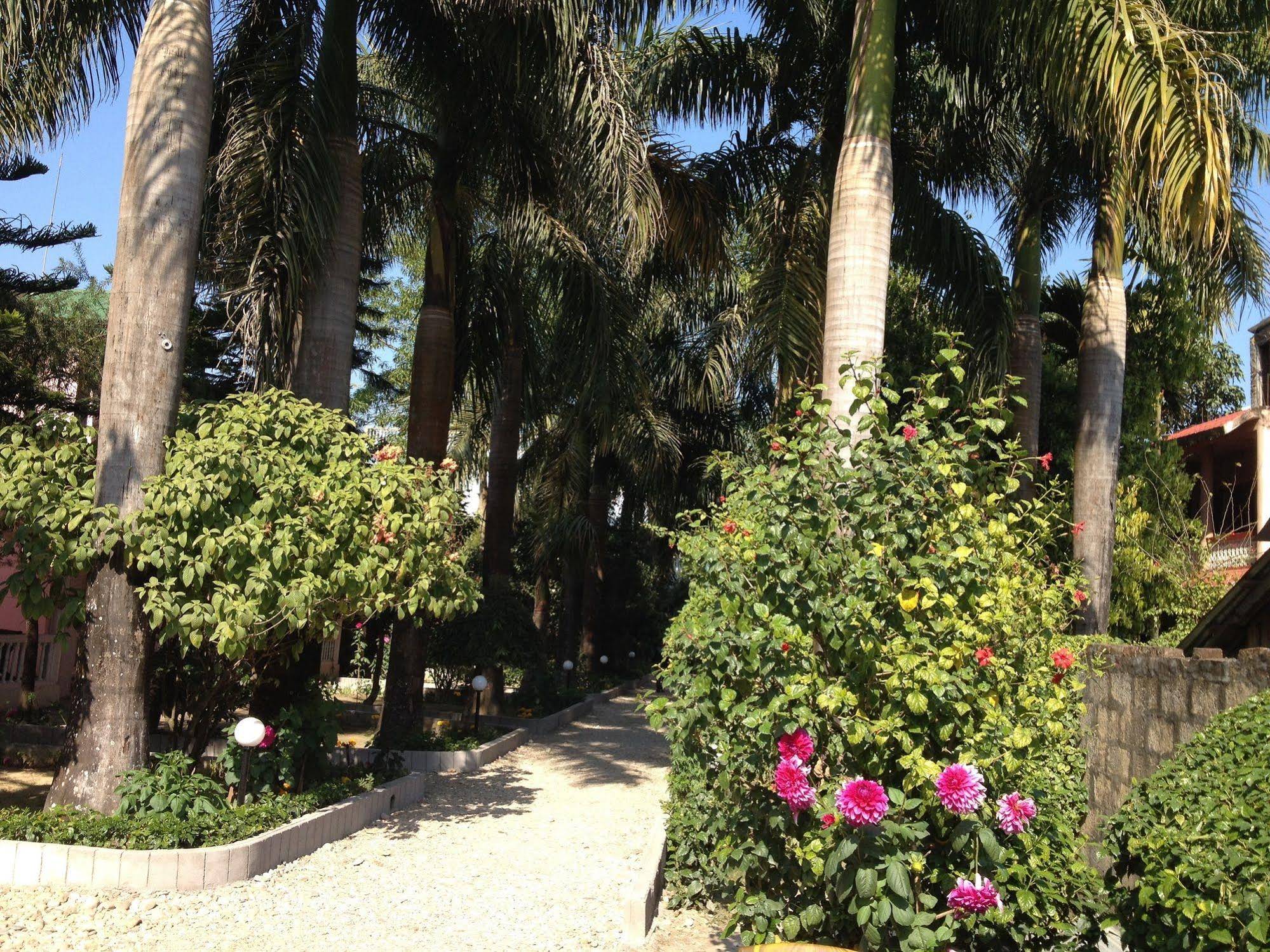 Sauraha Resort