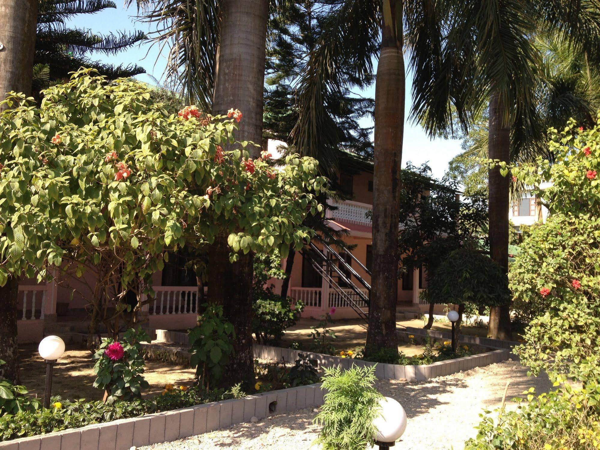Sauraha Resort