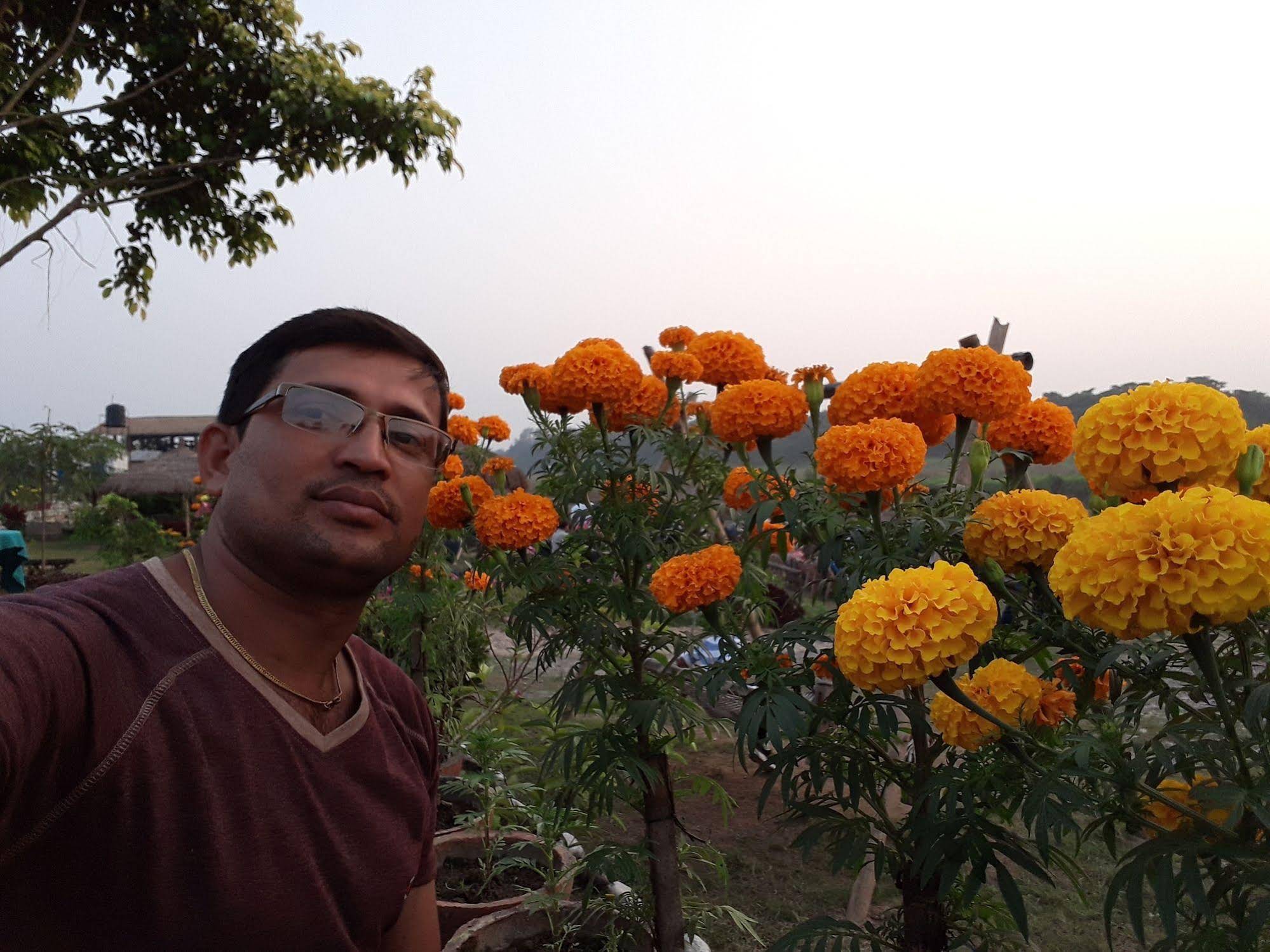 Sauraha Resort