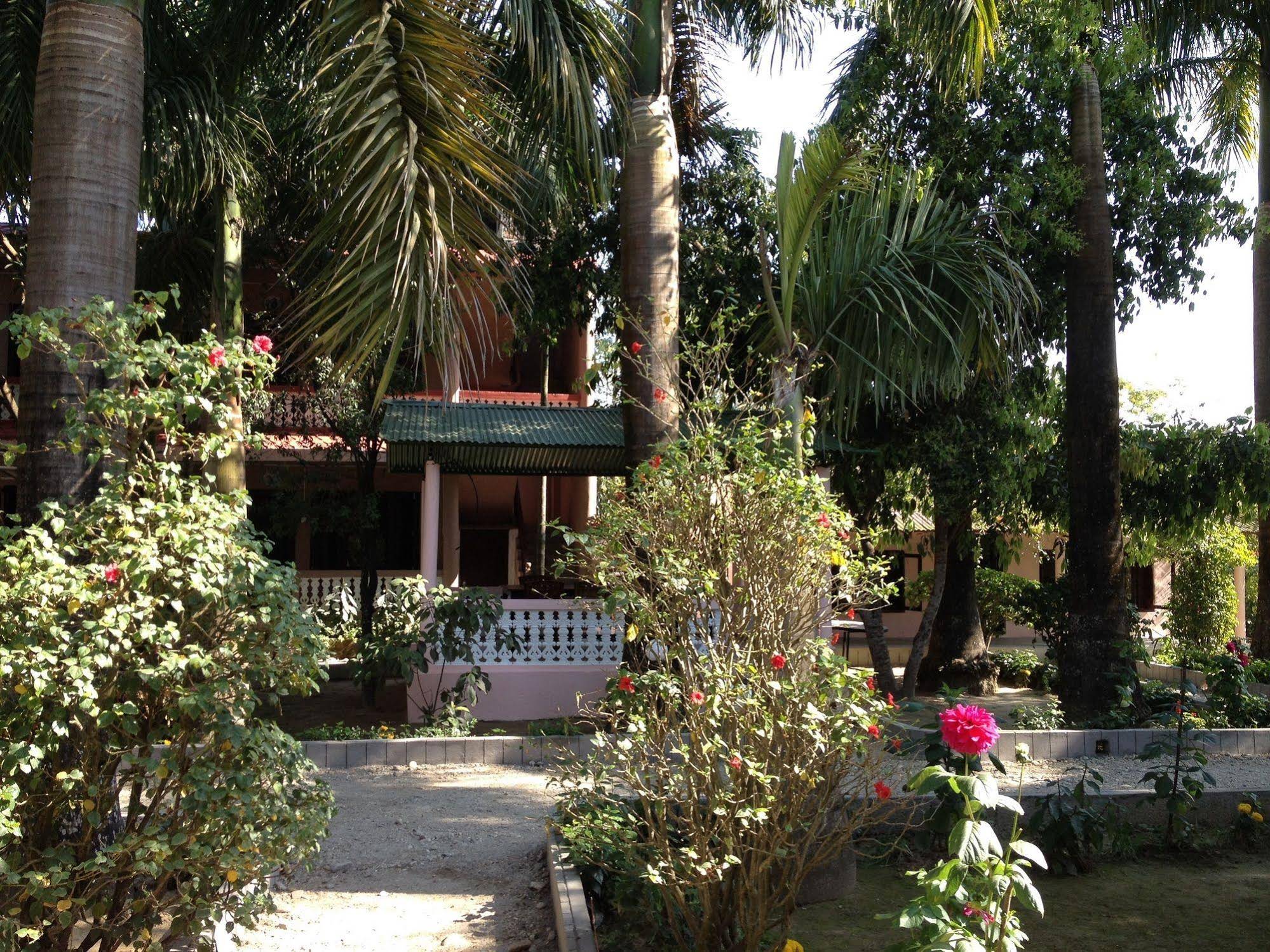Sauraha Resort