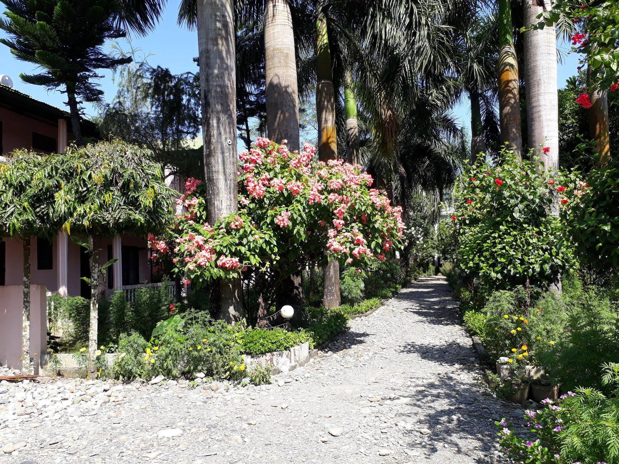 Sauraha Resort