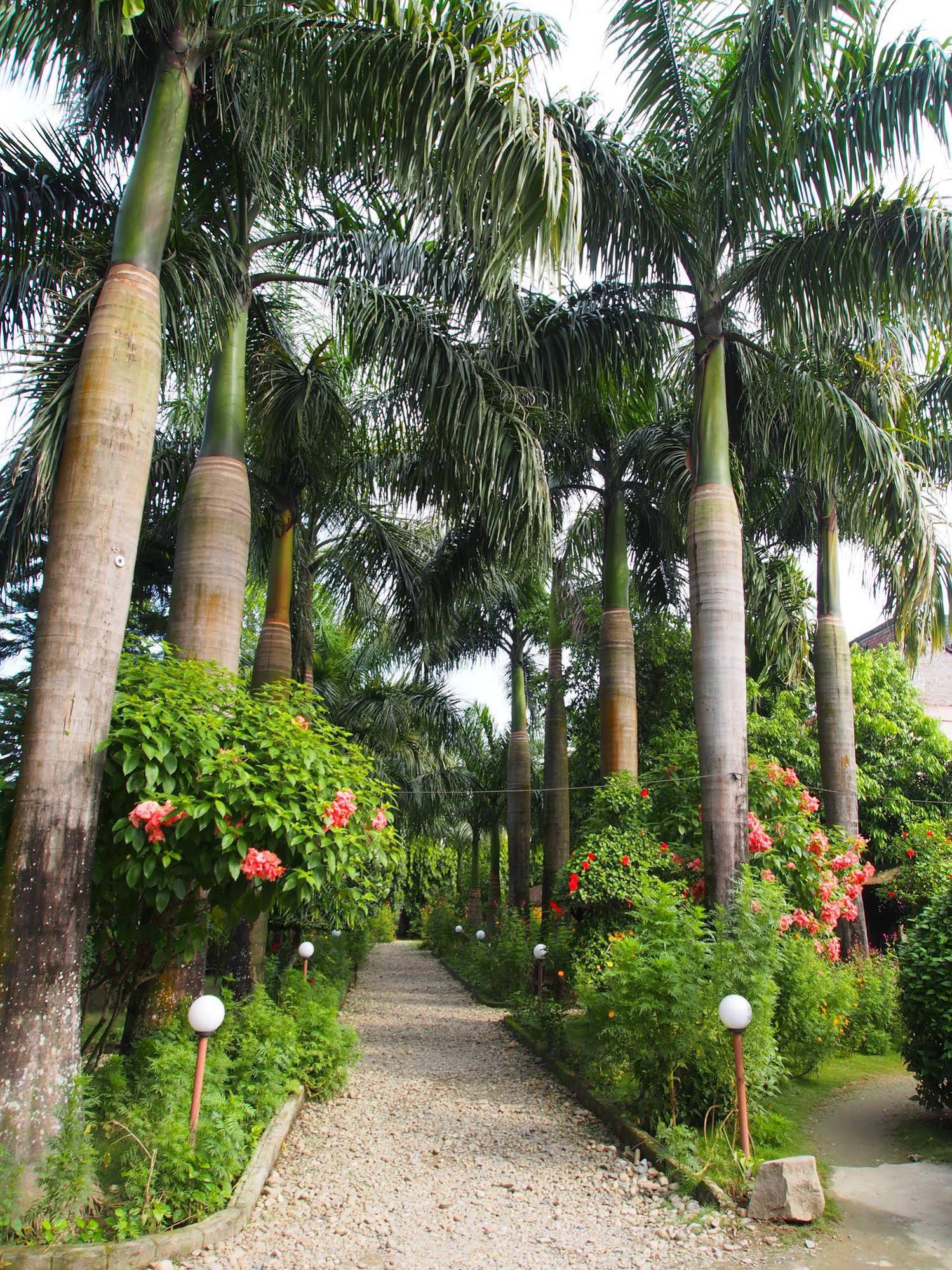 Sauraha Resort