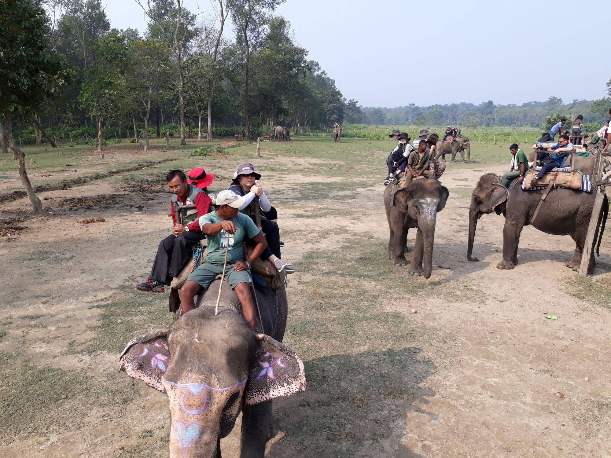 Sauraha Resort