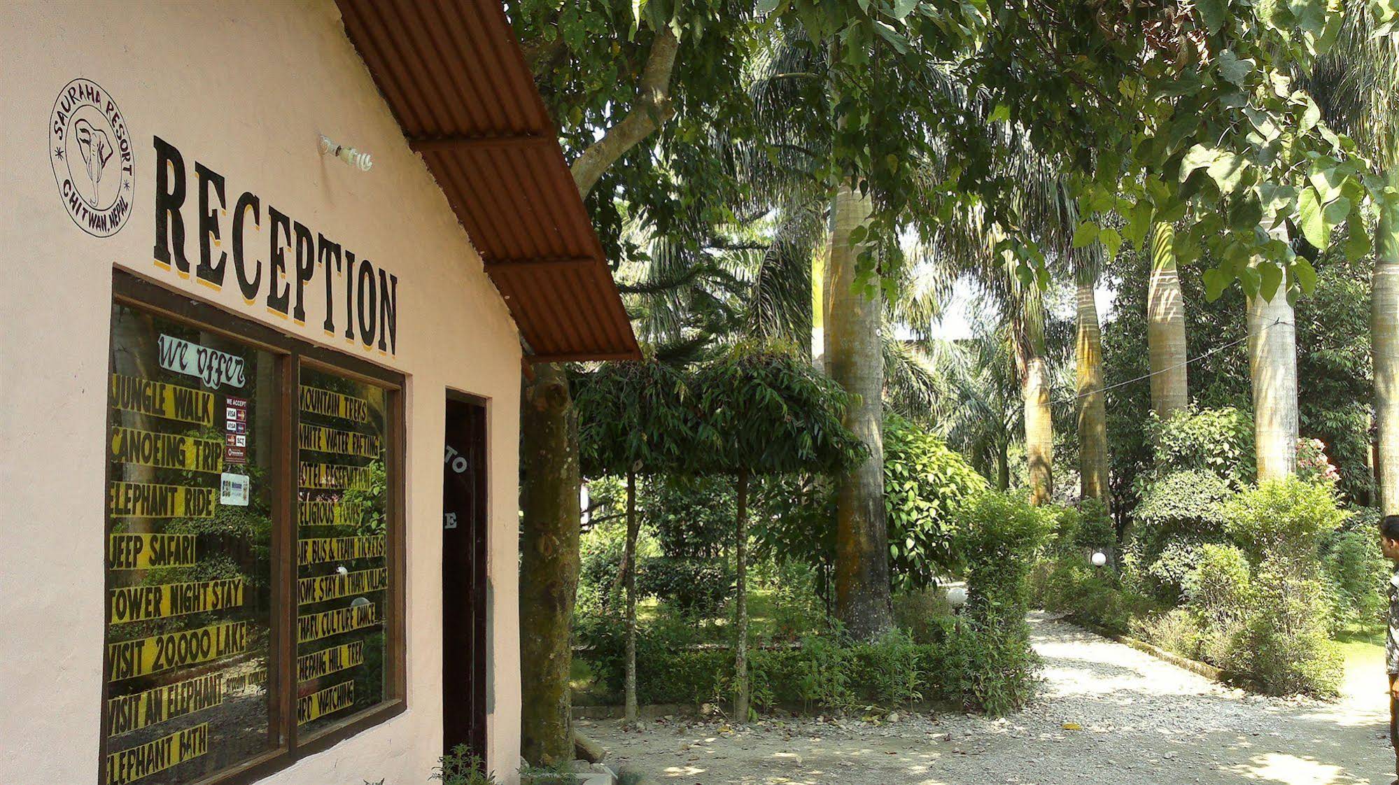 Sauraha Resort