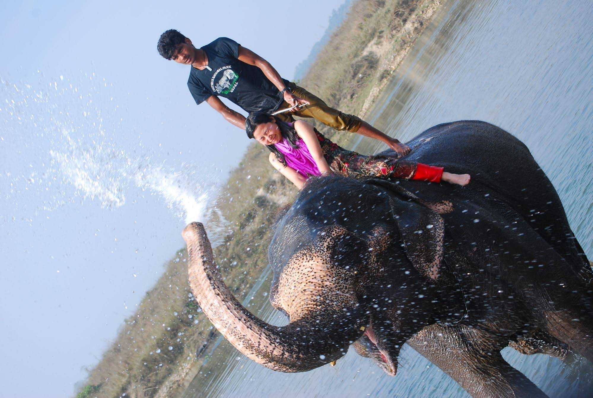 Sauraha Resort