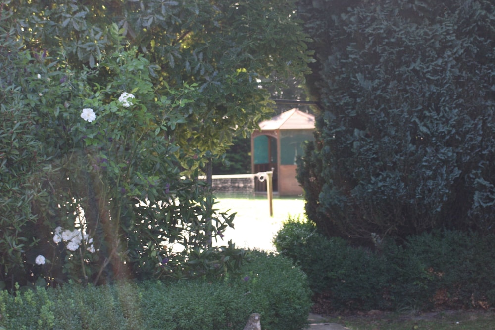Walnut Grove Lodge