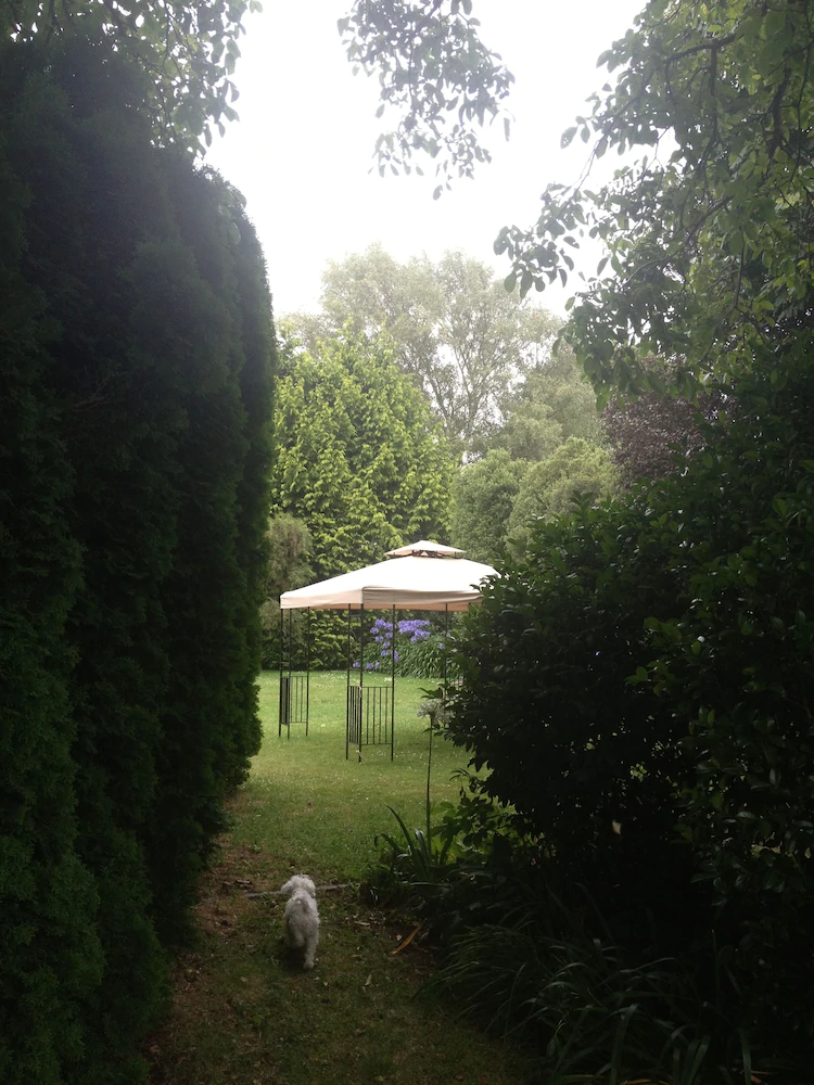 Walnut Grove Lodge