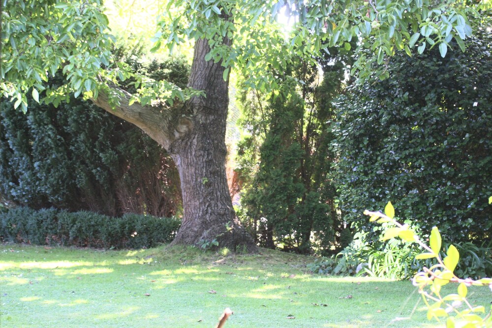 Walnut Grove Lodge